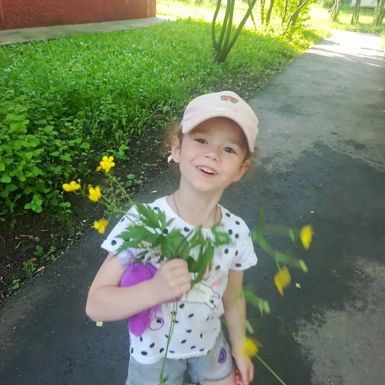 ☀️ Солнечный день, листья и маленькие исследователи: создаём гербарий вместе! ☀️

Сегодня с ребятами