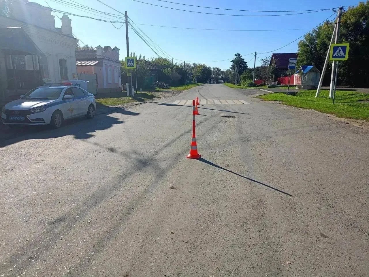 В селе Емуртла Упоровского района пьяный водитель ВАЗ-21102 вез двух девушек 22 и 24 ле...