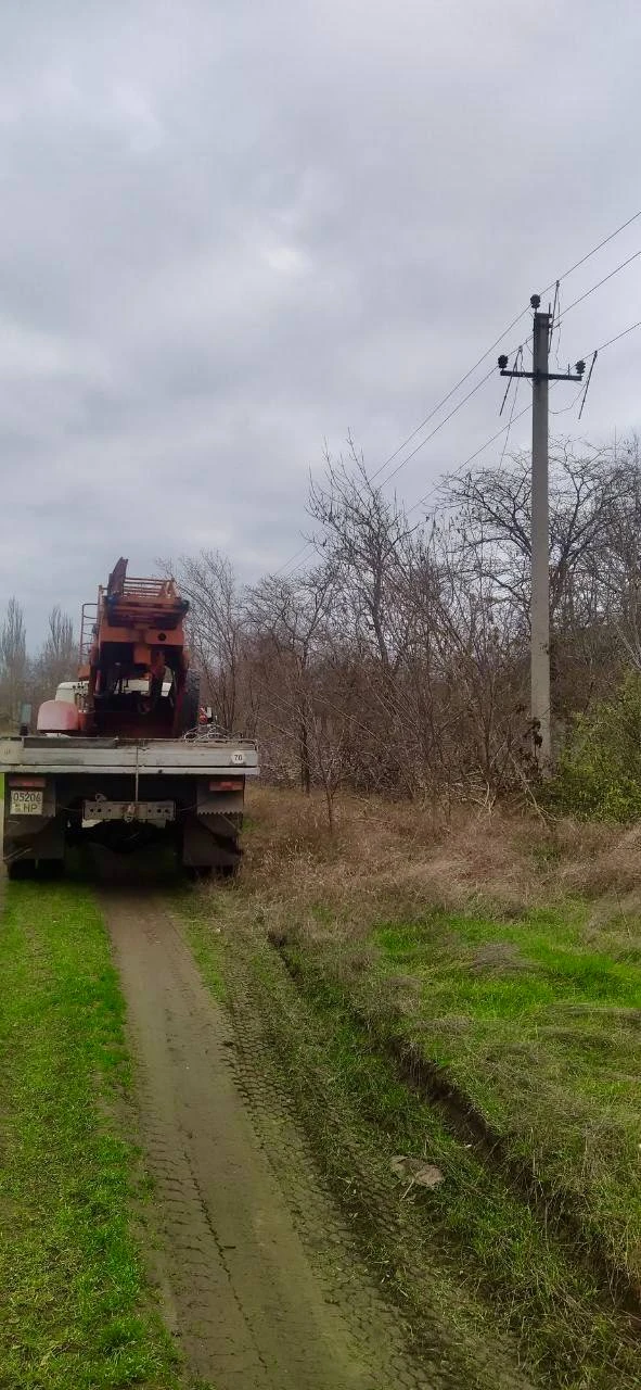 🌳 Акимовский и Розовский районы — профилактика сетей  В Акимовском районе энергетики «Запорожьеэнерг