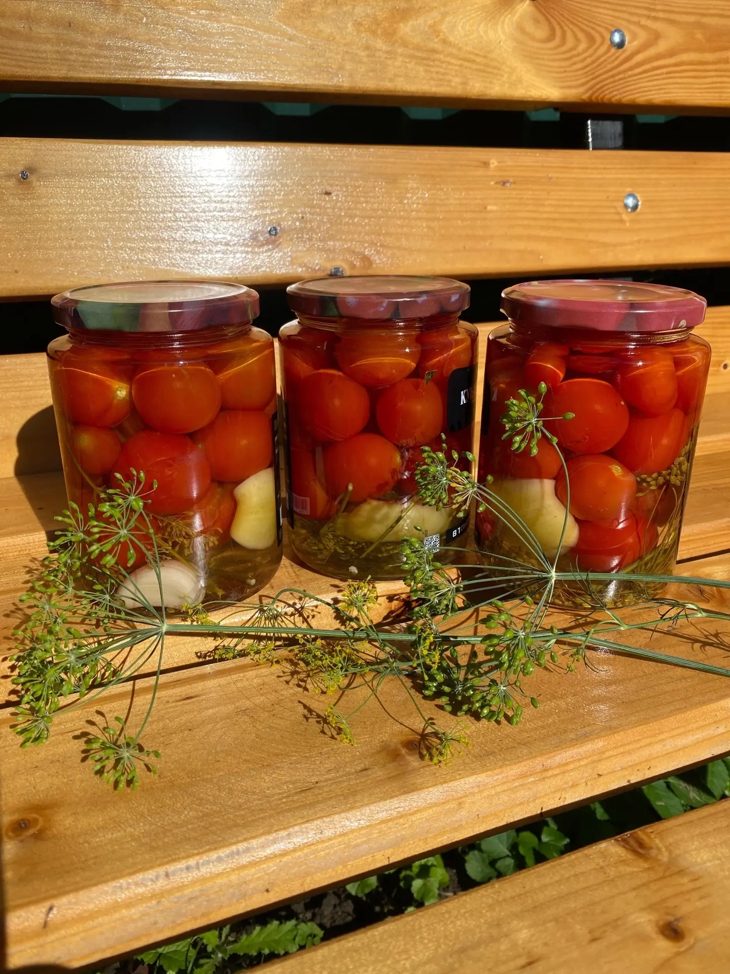🍅 ХВАСТАЕМСЯ УРОЖАЕМ 🍅