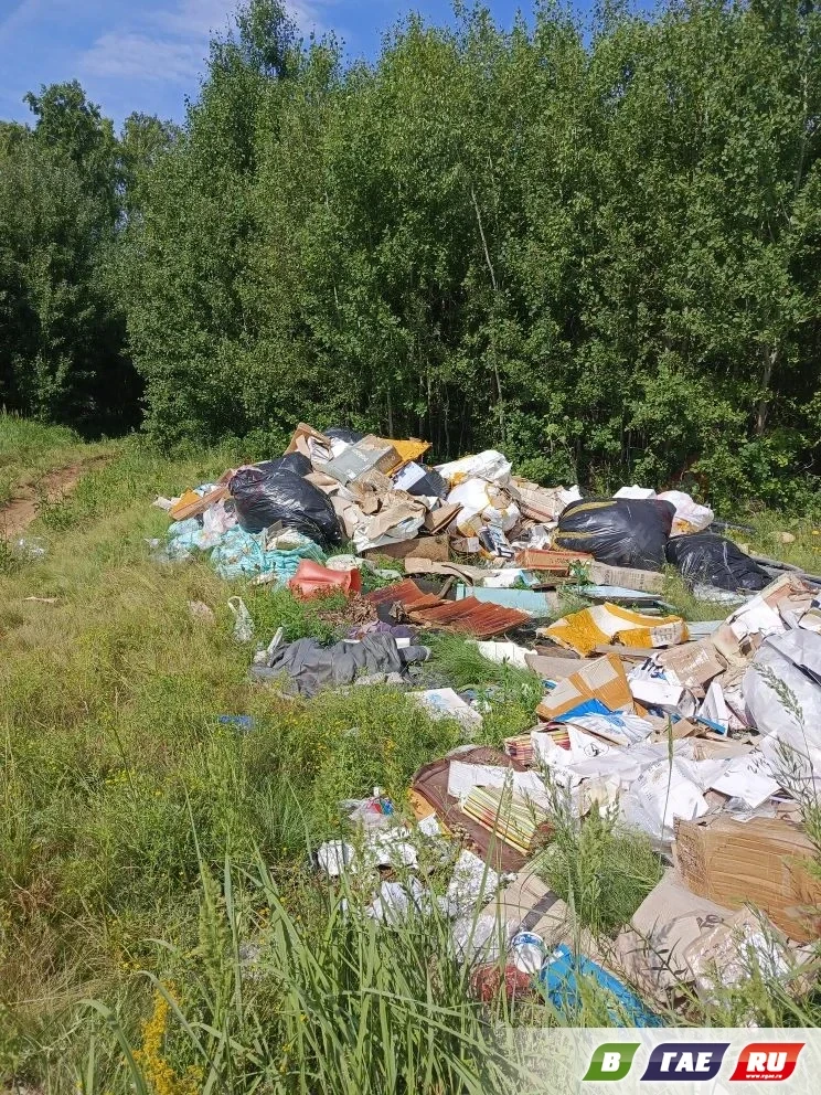 Вместо свежего воздуха и пения птиц — гора отходов. Жители Гая делятся кадрами из рощи ...