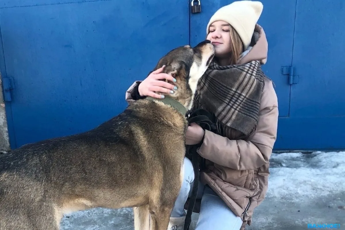 🐕 В Надыме пройдёт день открытых дверей в приюте
