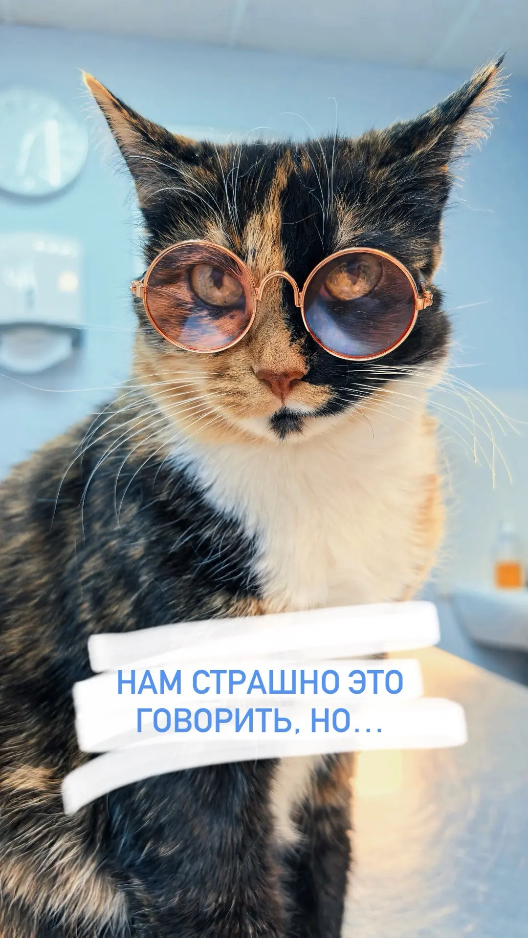 …теперь вы знаете 😺