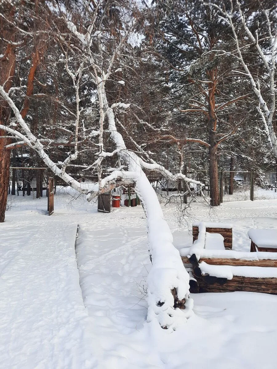 Купленная жена. Рассказ