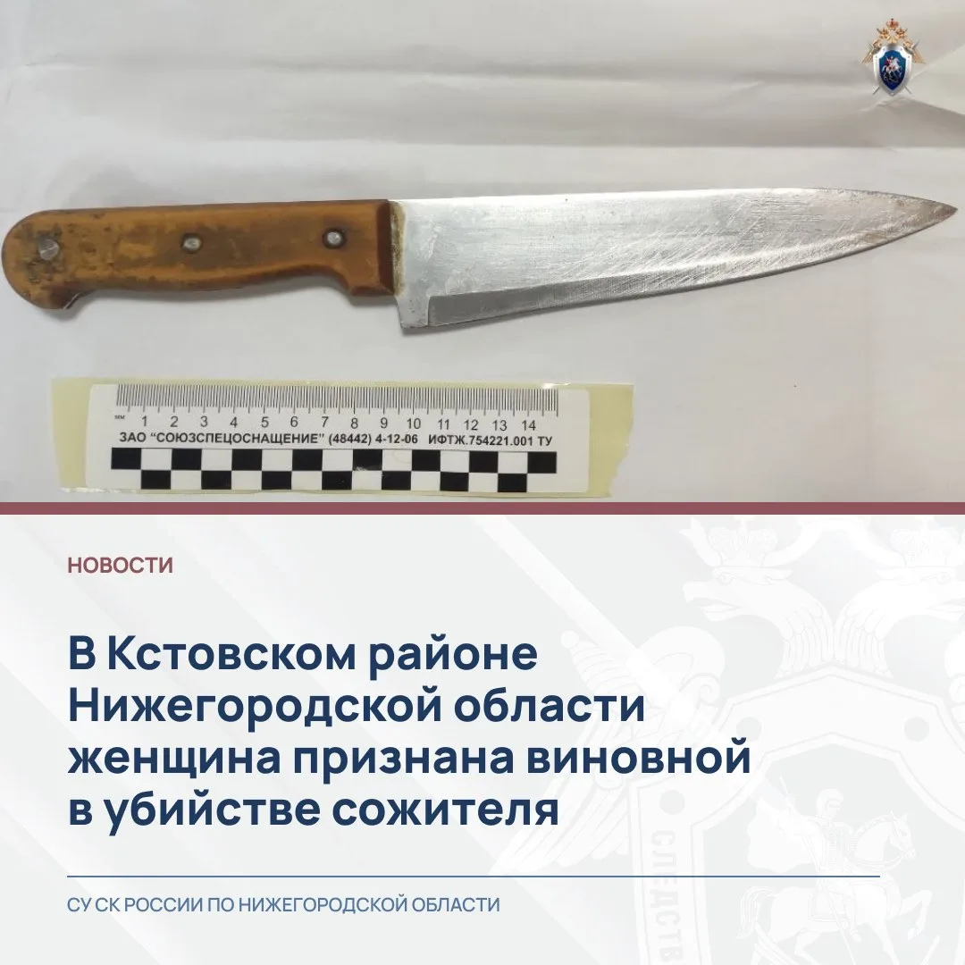 В Кстовском районе Нижегородской области женщина признана виновной в убийстве сожителя
