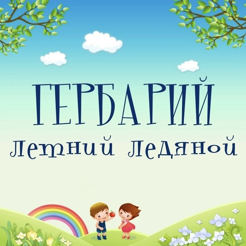 🌺🌿 ЛЕТНИЙ ЛЕДЯНОЙ ГЕРБАРИЙ