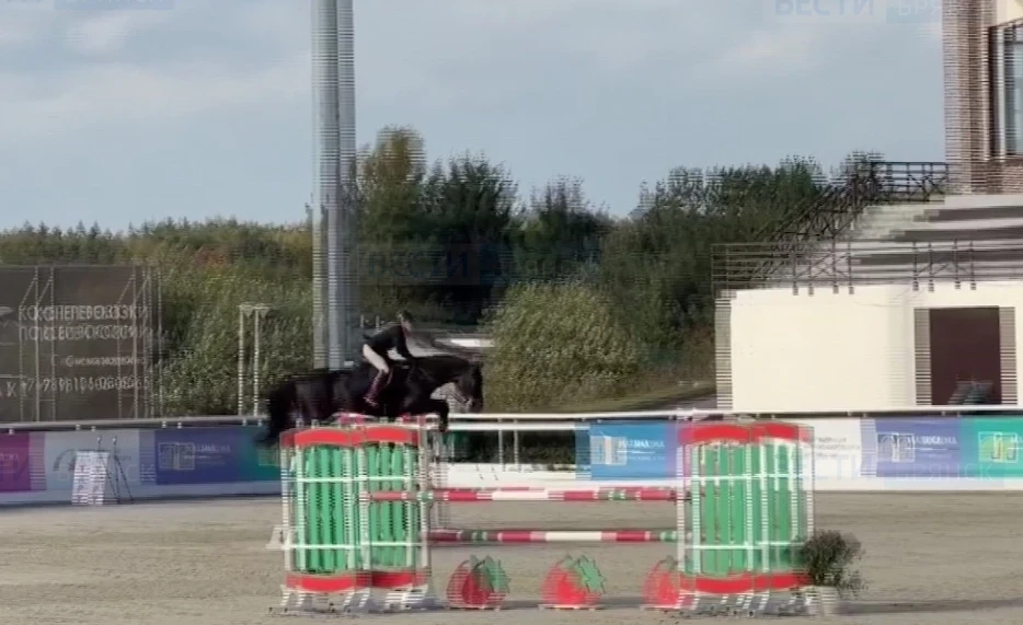 🏇 Брянская спортсменка Марина Степичева победила на чемпионате Евразии по конному спорту