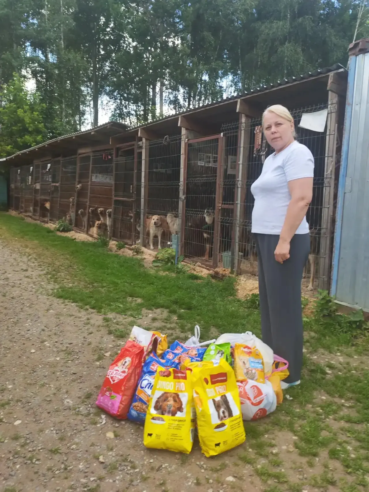 В нашем Центре образования состоялась благотворительная акция по сбору корма для бездом...