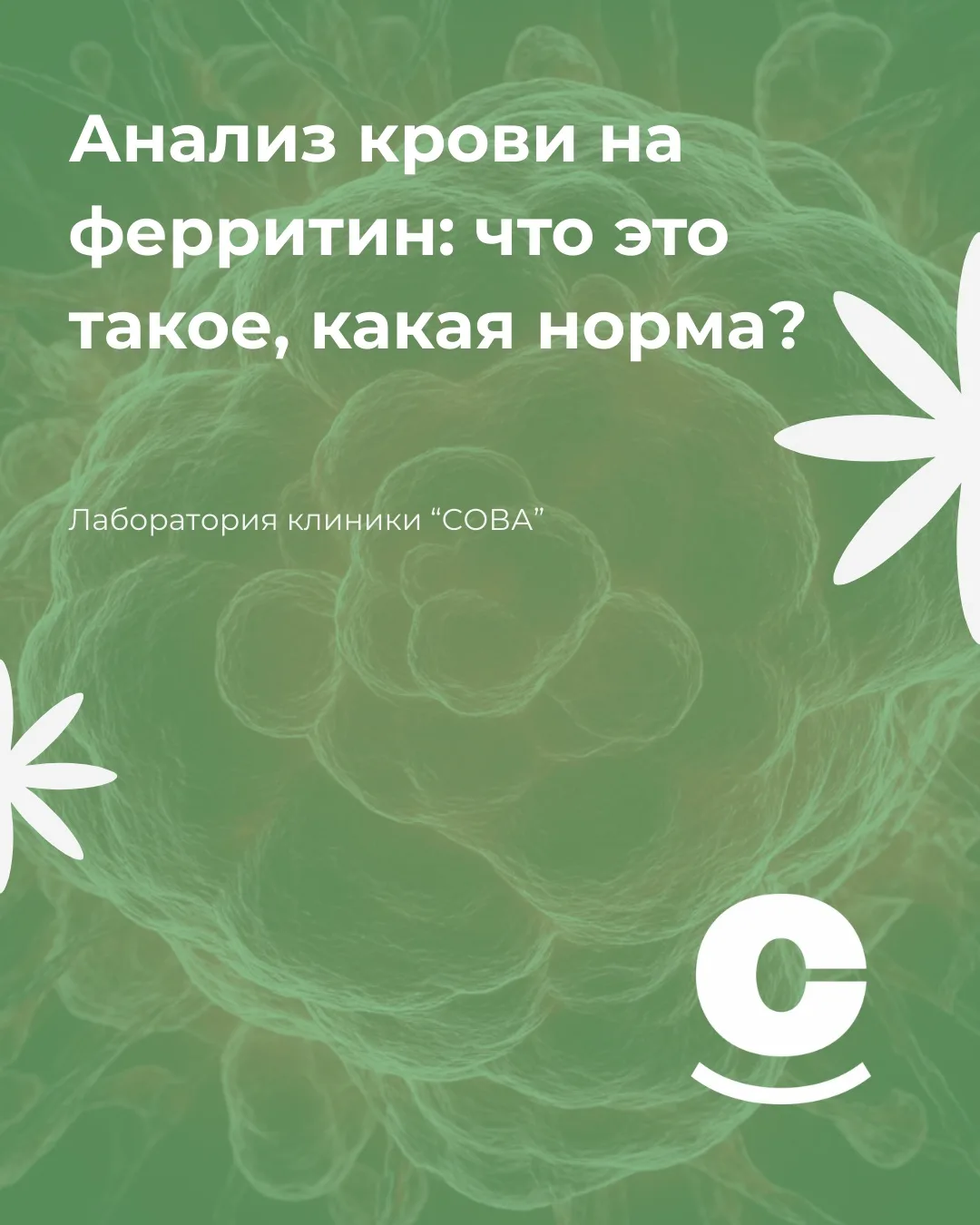 🔎 Анализ крови на ферритин: что это такое, какая норма?