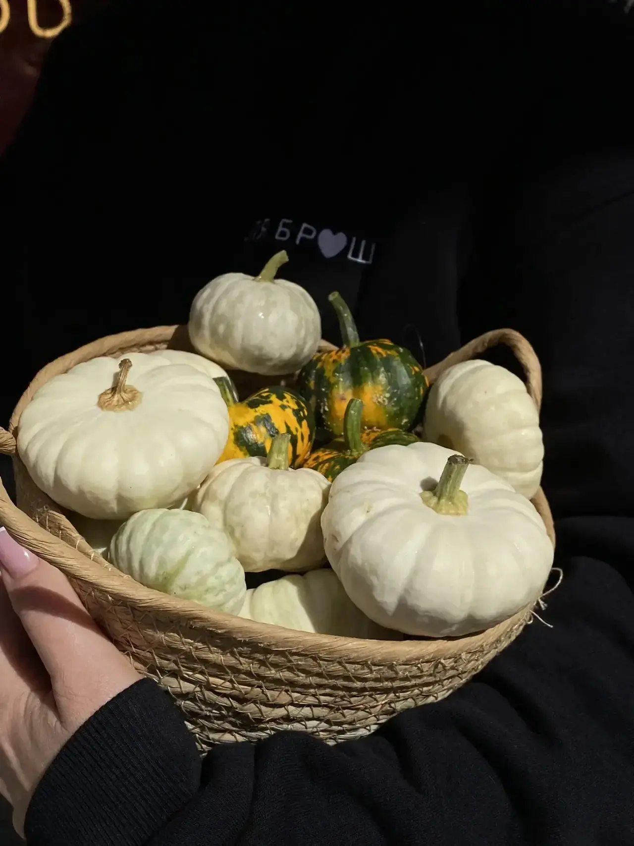 В апреле начали свой жизненный цикл семена декоративных тыковок 🍂