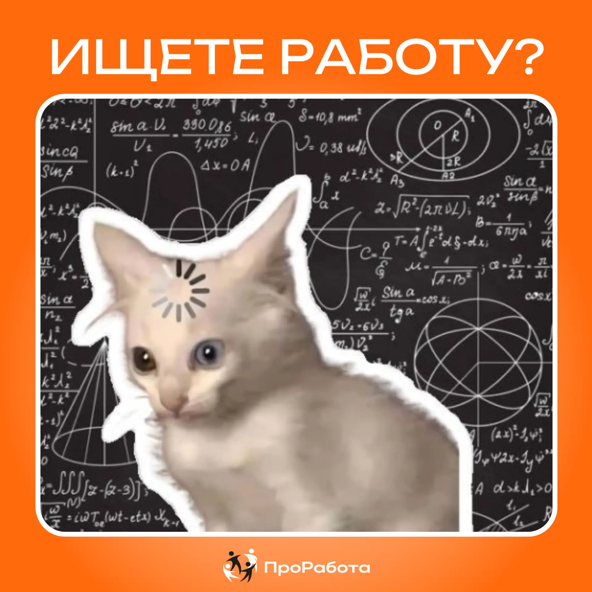 Звоните или оставляйте заявку! Поможем найти её бесплатно.

_______

Контакты для связи:
• Телефон: 