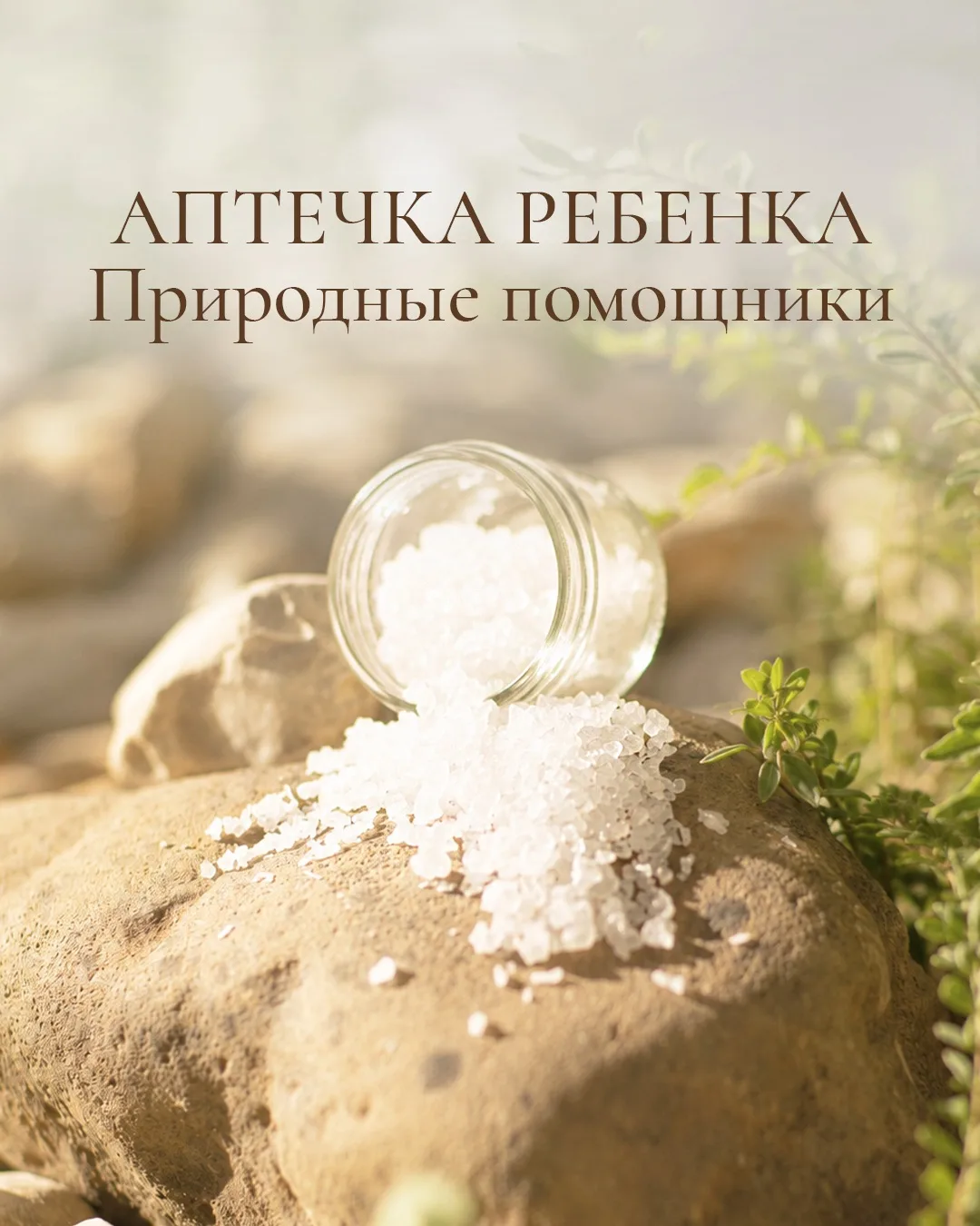 Родные мои, ну вот и сентябрь на носу.