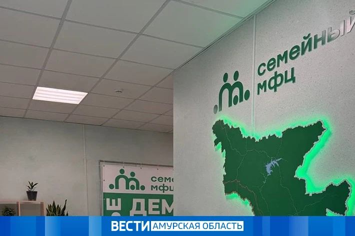 Родители в Амурской области смогут оформить гражданство детей в МФЦ бесплатно  Это необходимо для по
