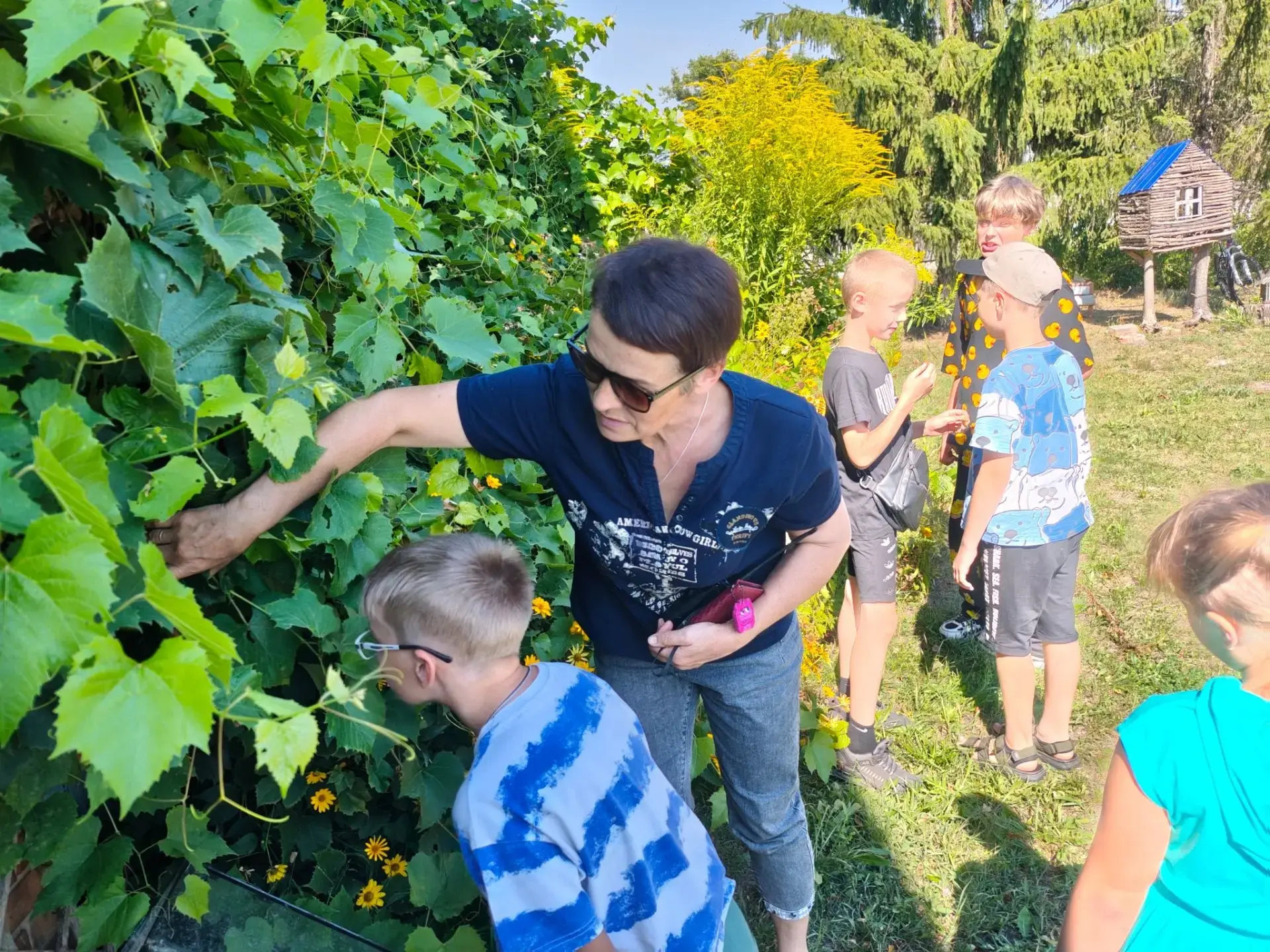 Солнце в каждой ягоде🍇