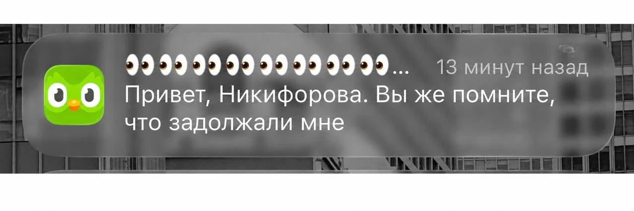 Эта сова ведет себя так, будто я не китайский учу, а коллекторам что-то не оплатила…