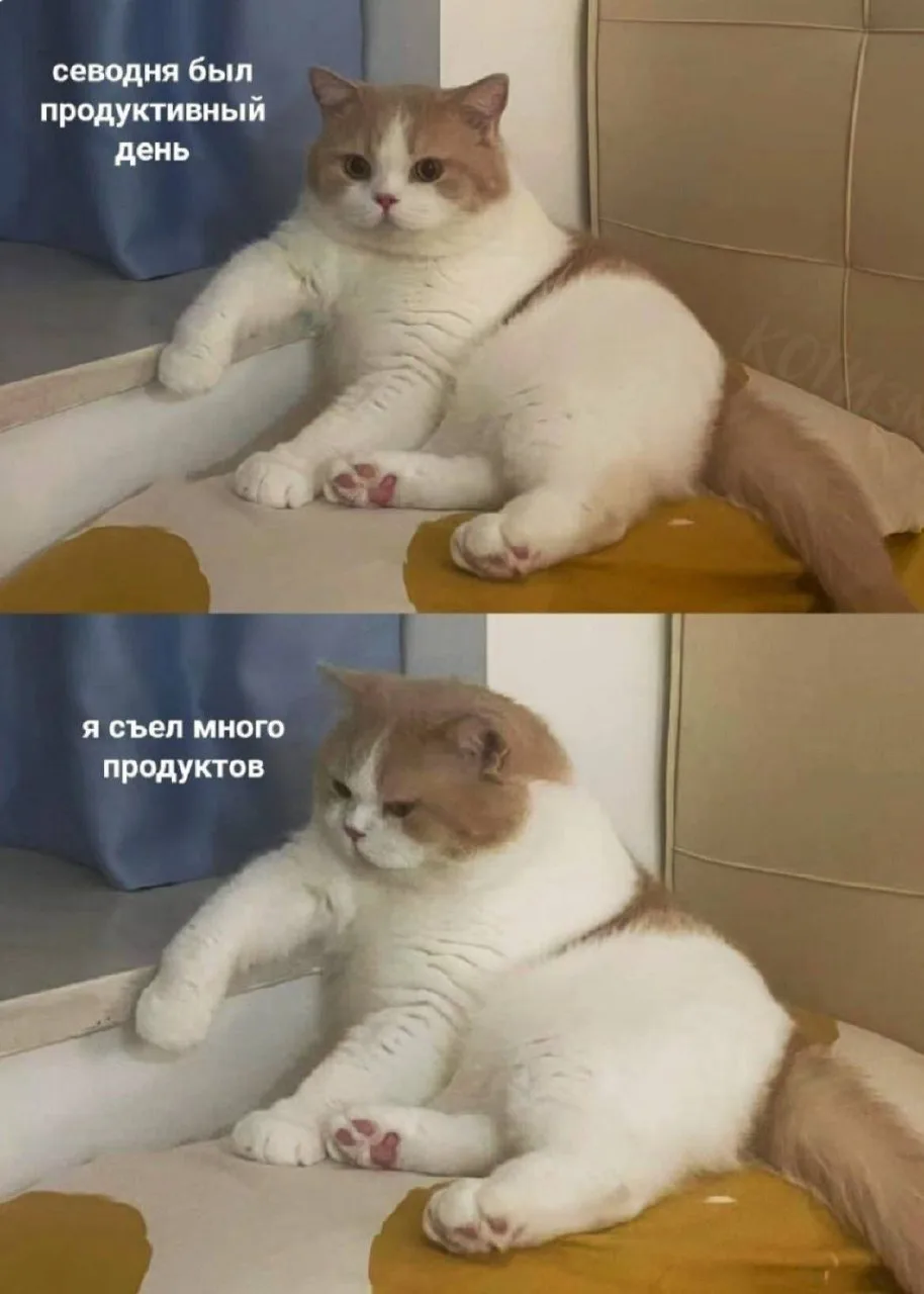 Вспоминаем, что интересного было за день