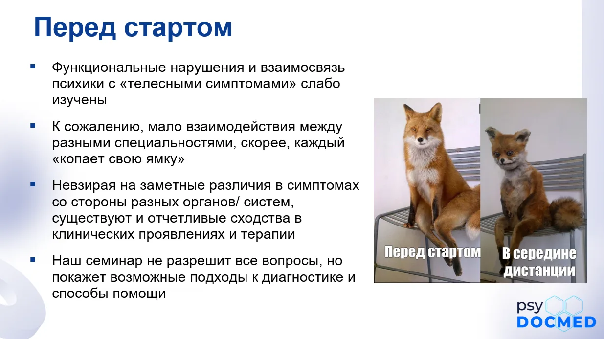 Семинар о головокружении и психике стартовал

Тема непростая, но интересная

Разбираемся в сложных в