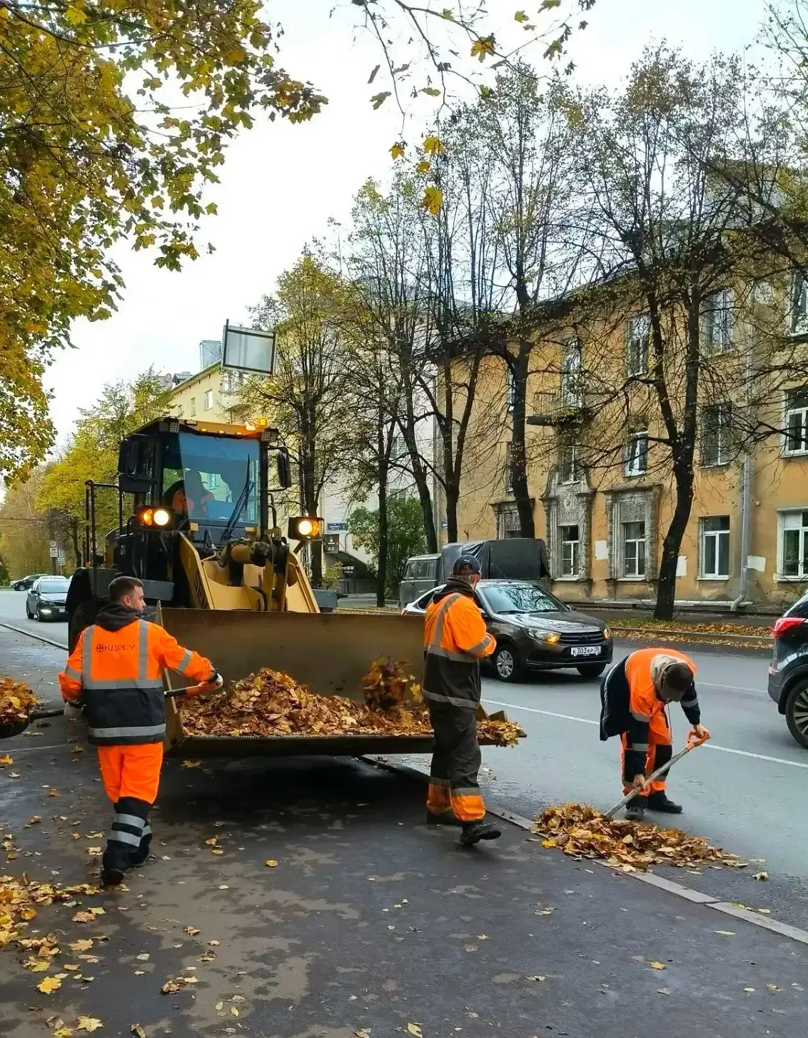 🍂 Сохраняем Петрозаводск чистым!