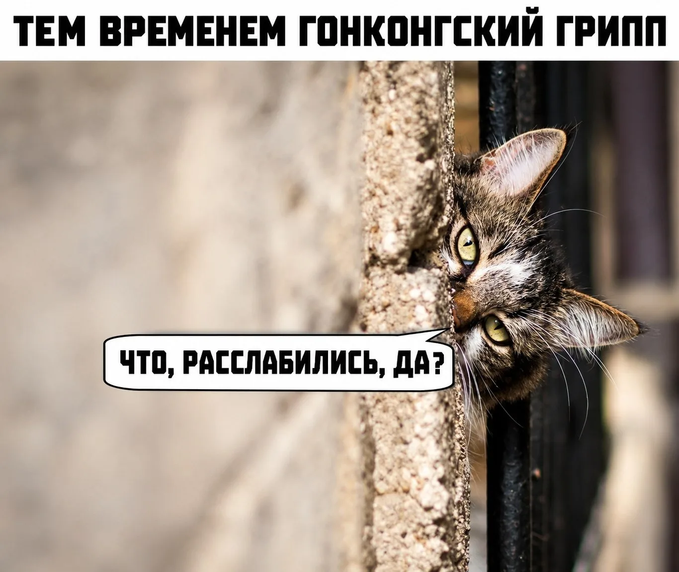 😨 Мутировавший «гонконгский» грипп добрался до России