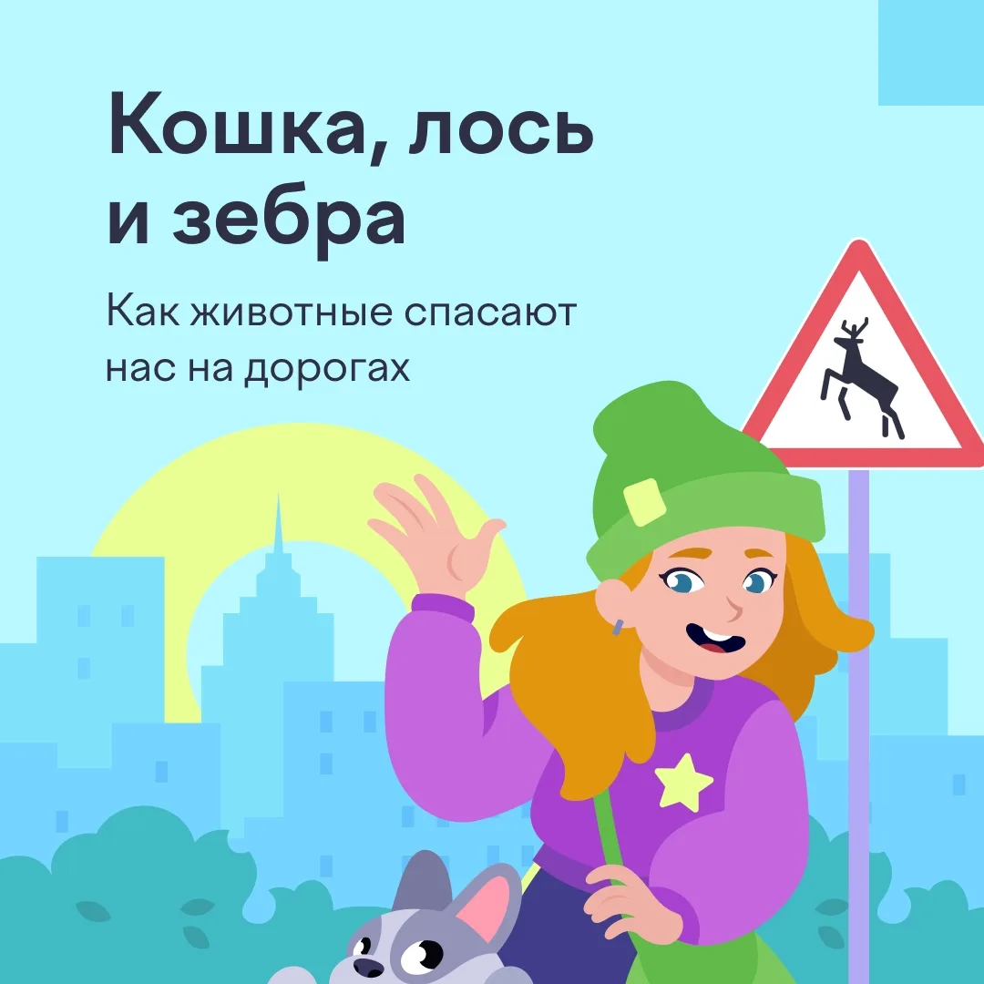 🐱 Коты опять всех спасли!

Листайте карточки вместе с детьми и узнавайте три классных факта о том, 
