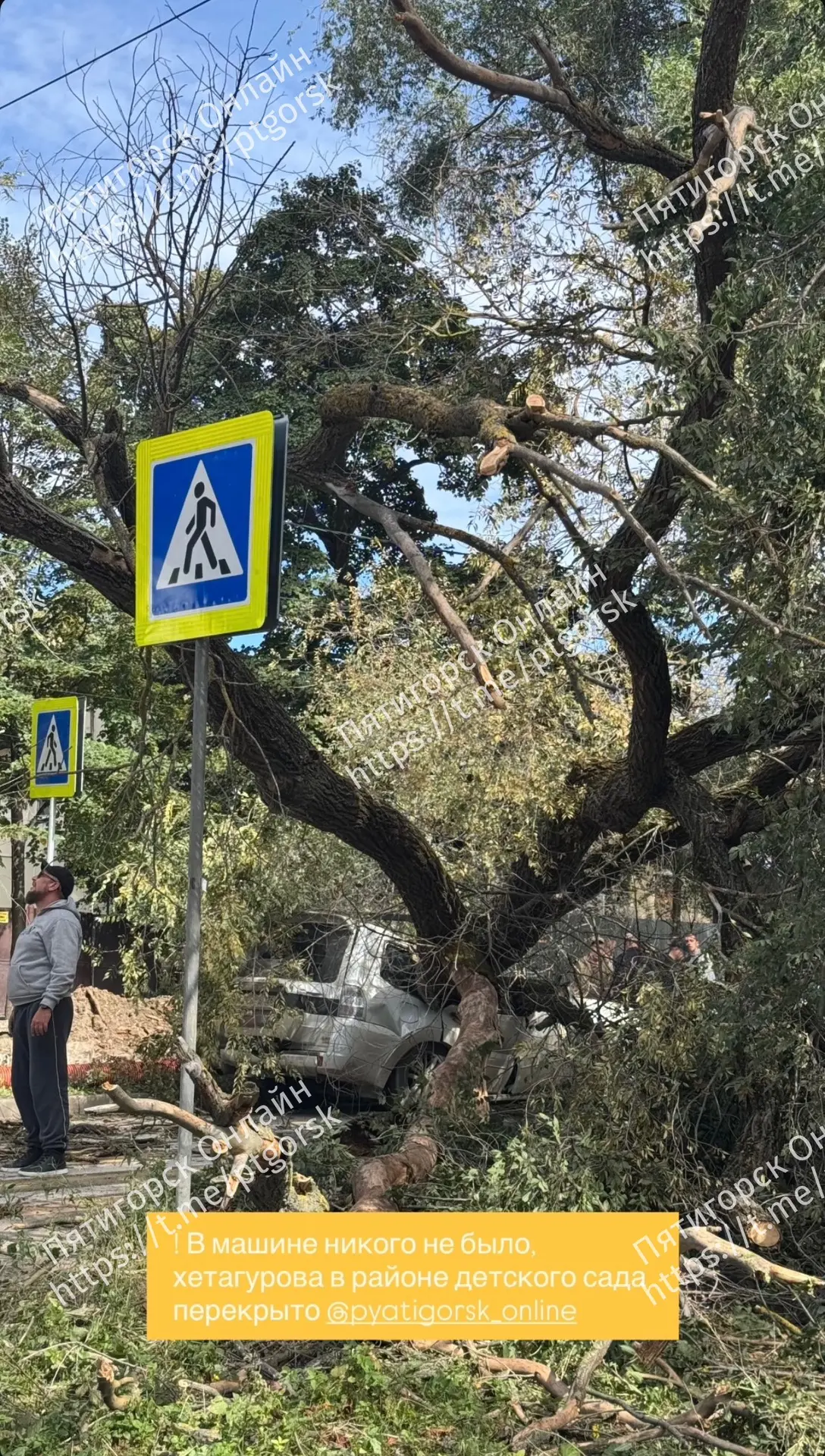 💬Дерево рухнуло на автомобиль. В машине никого не было, Хетагурова в районе детского с...