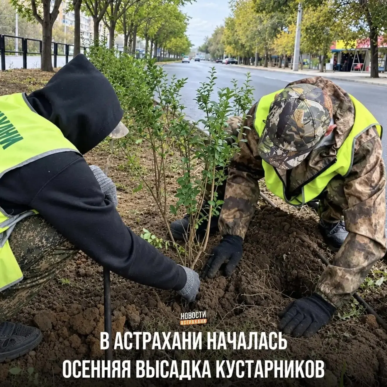 В Астрахани высадят полторы тысячи новых растений. Озеленение уже началось на улице Поб...