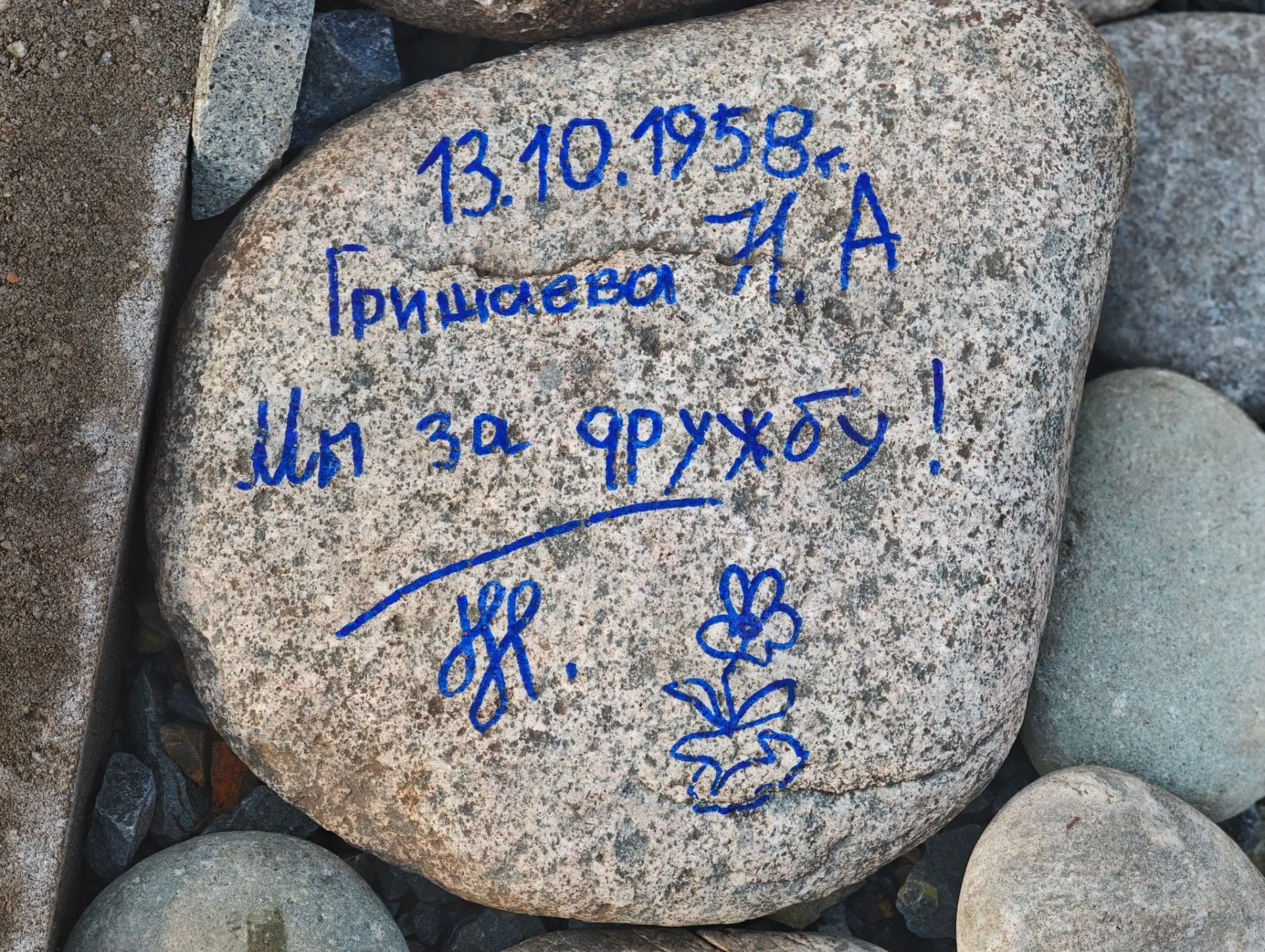 Зоопарк объединяет ❤
