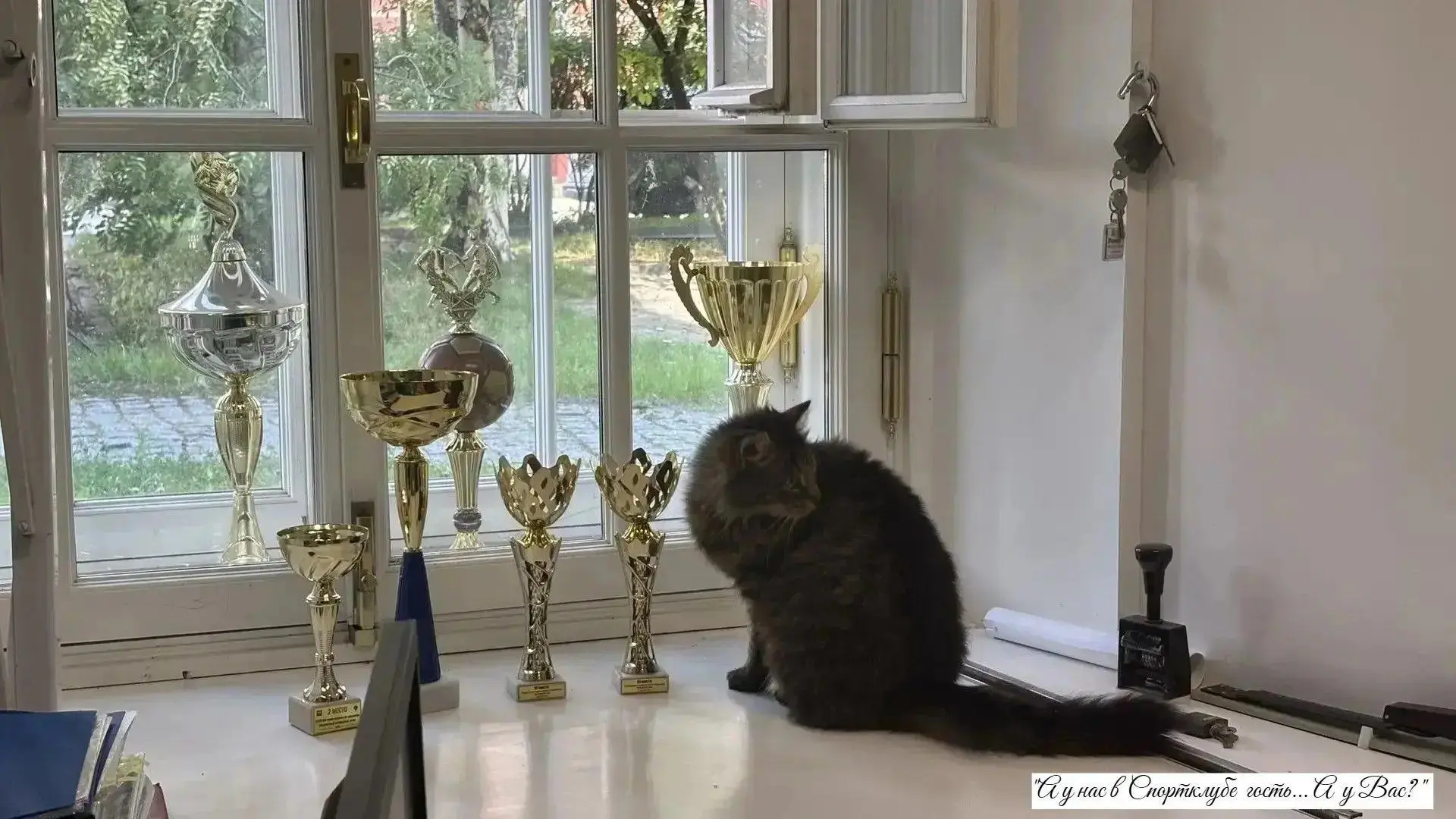 Финишная прямая конкурса «Мой верный друг и болельщик» 🐾