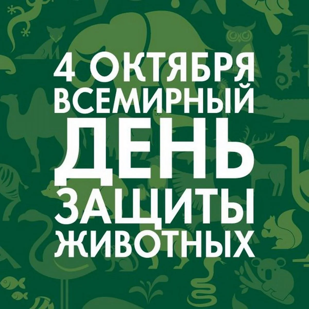 🐆🦓Ежегодно 4 октября отмечается Всемирный день защиты животных. Праздник учреждён на ...