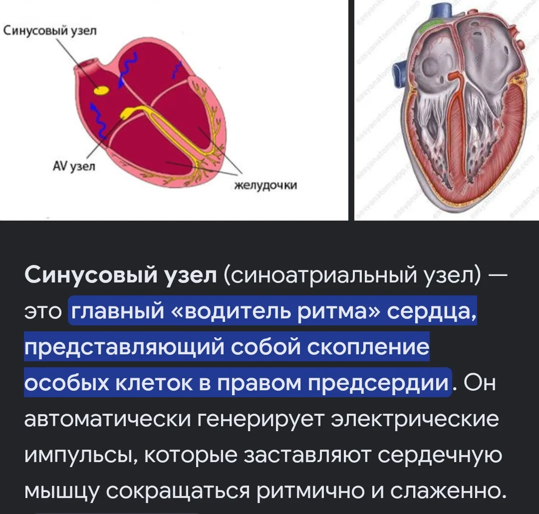 ОЧЕНЬ ВАЖНО!!!