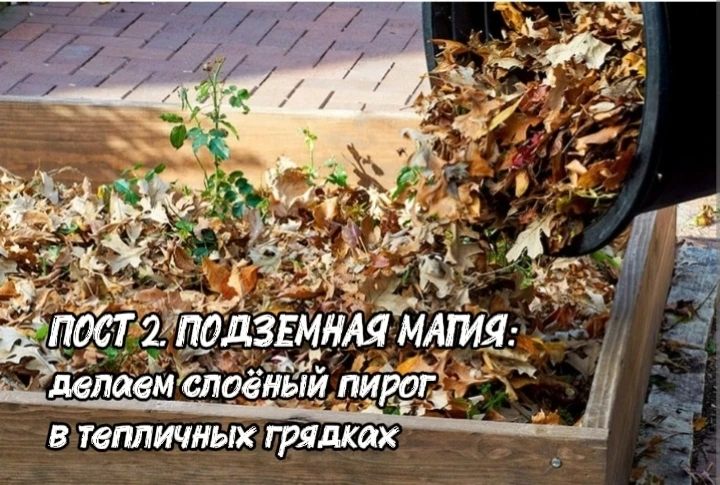 📌 ПОСТ 2. ПОДЗЕМНАЯ МАГИЯ: делаем слоёный пирог в тепличных грядках
