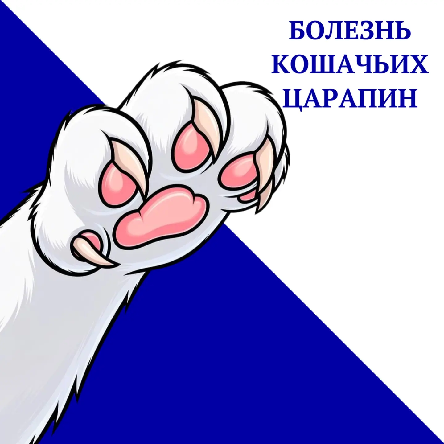 Привет, друзья!