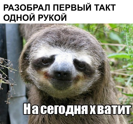 🎭«МУЗЫКАЛЬНЫЙ ЮМОР»