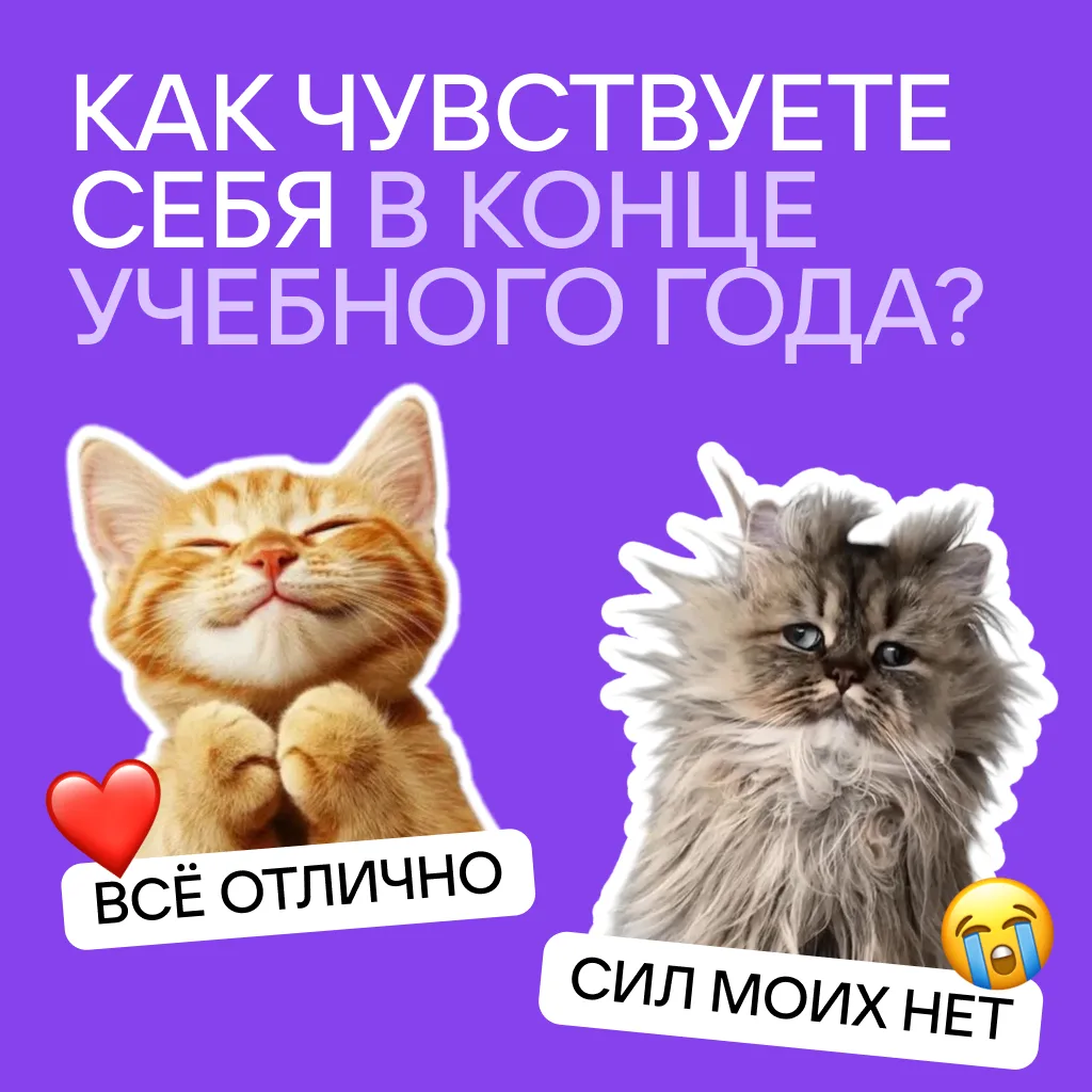 Вот, наконец, и сданы все экзамены и контрольные!

Как вы себя чувствуете, дорогие родители?

Уже вы