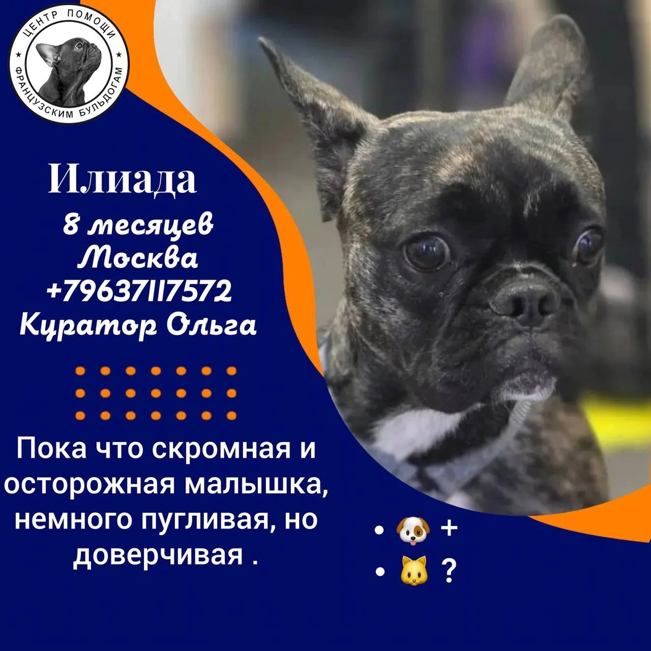 Такой смешной подросток эта Илиада , из Турции  ✈️ путешественница ! Сначала была робка...