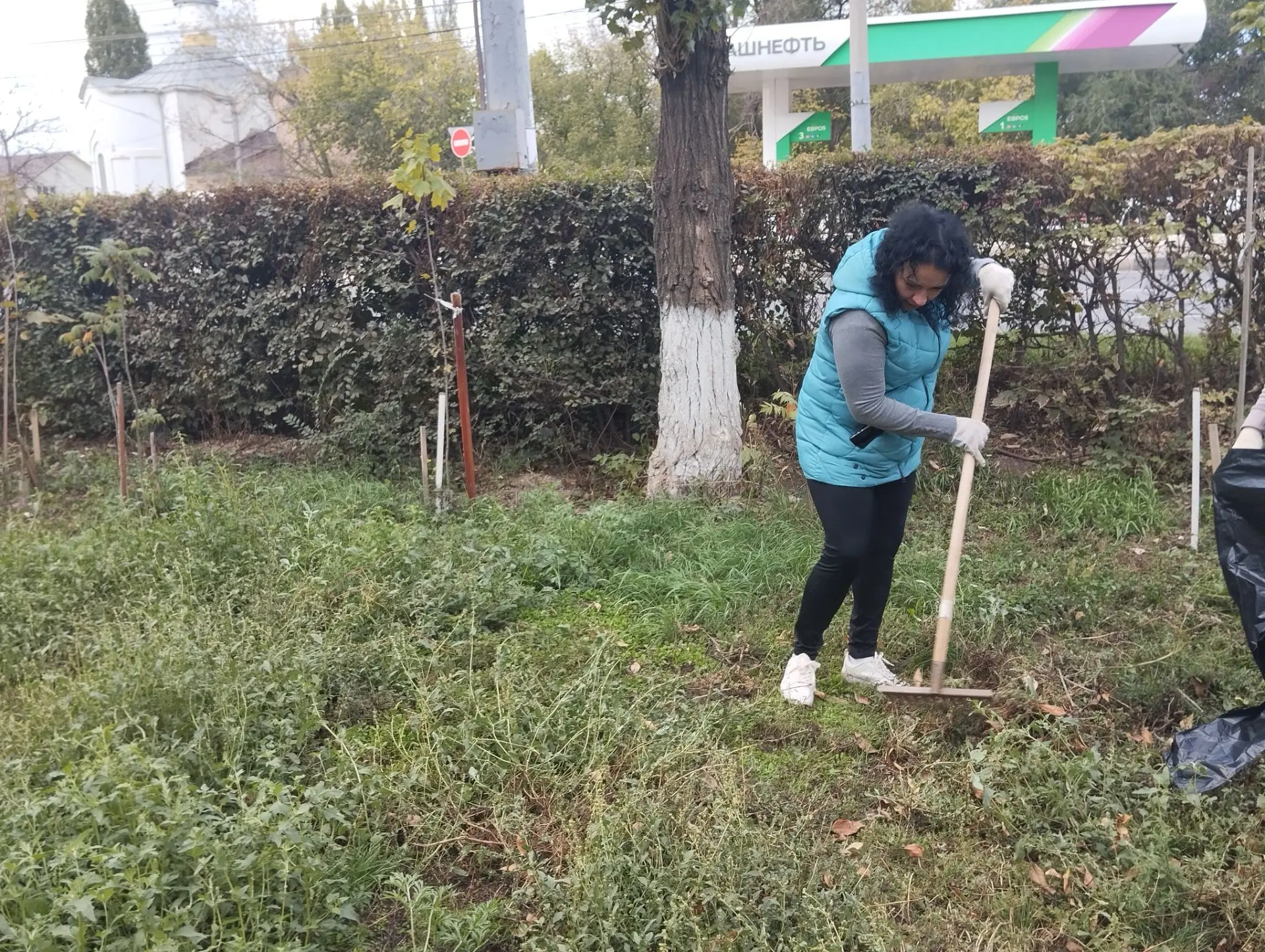 🍂Сотрудники МКУ «Озеленение» присоединились к общегородскому субботнику.