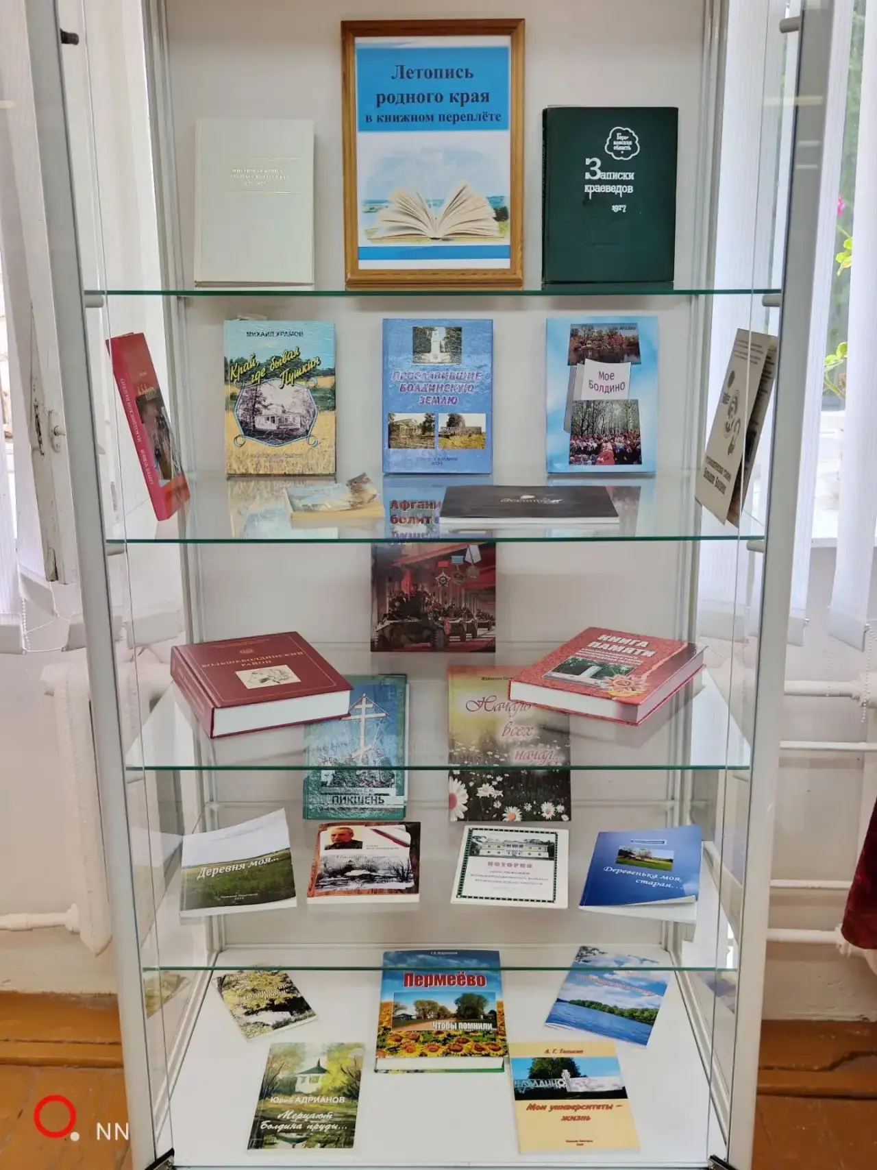 «Летопись родного края в книжном переплёте»