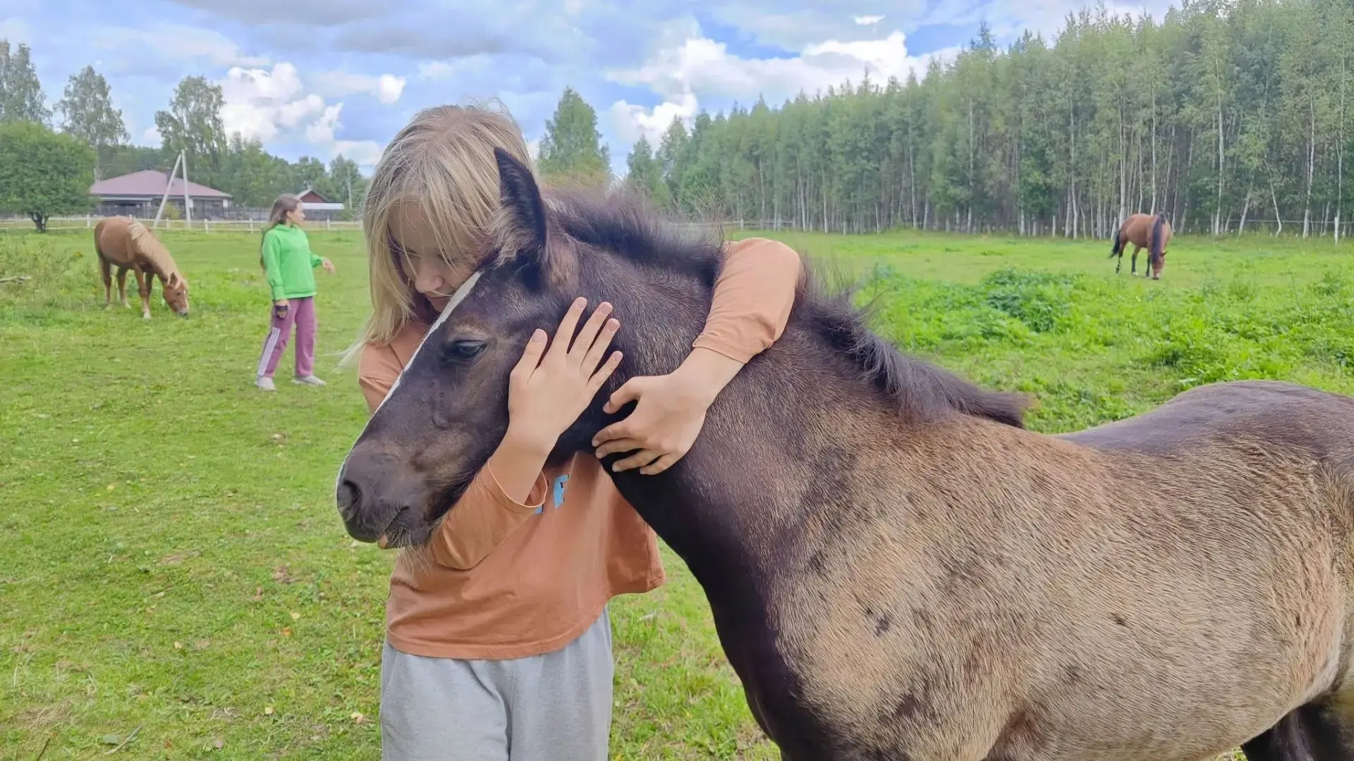 Вот и пролетела целая неделя нашего конного лагеря 🐴☘️