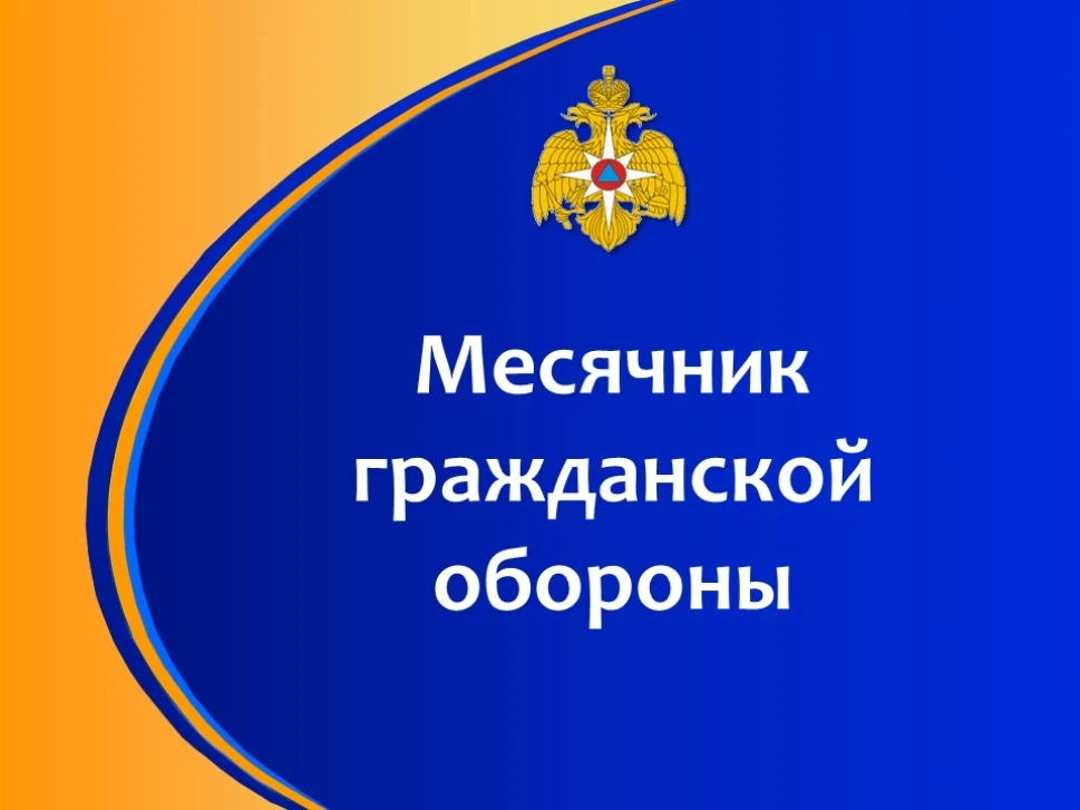 В целях формирования единых подходов к организации и ведению гражданской обороны на тер...