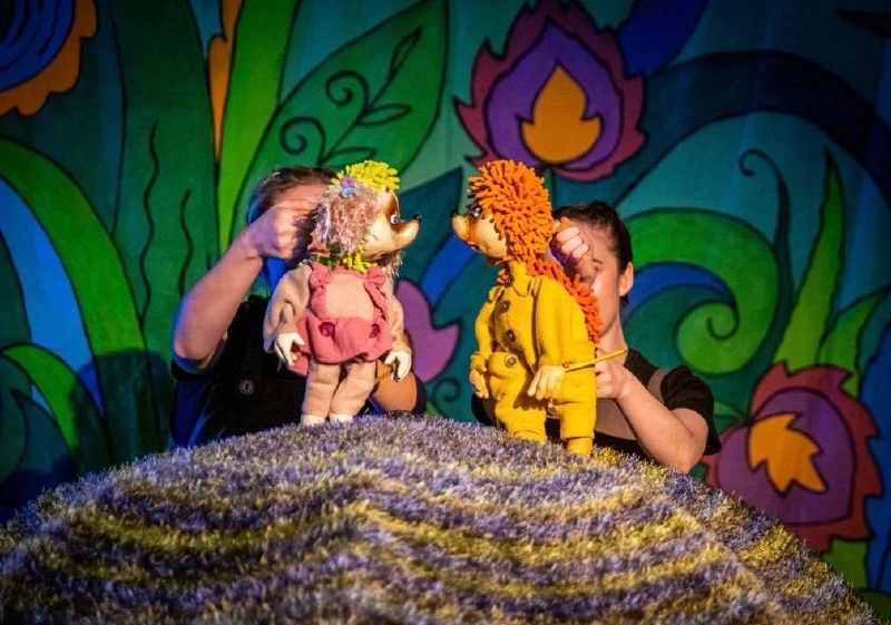 🦔Ёжики — маленькие мечтатели
Путешествие по ночному лесу для самых маленьких.

Новый спектакль бэби
