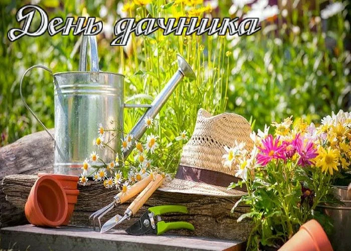 С Днём дачника! 🥕