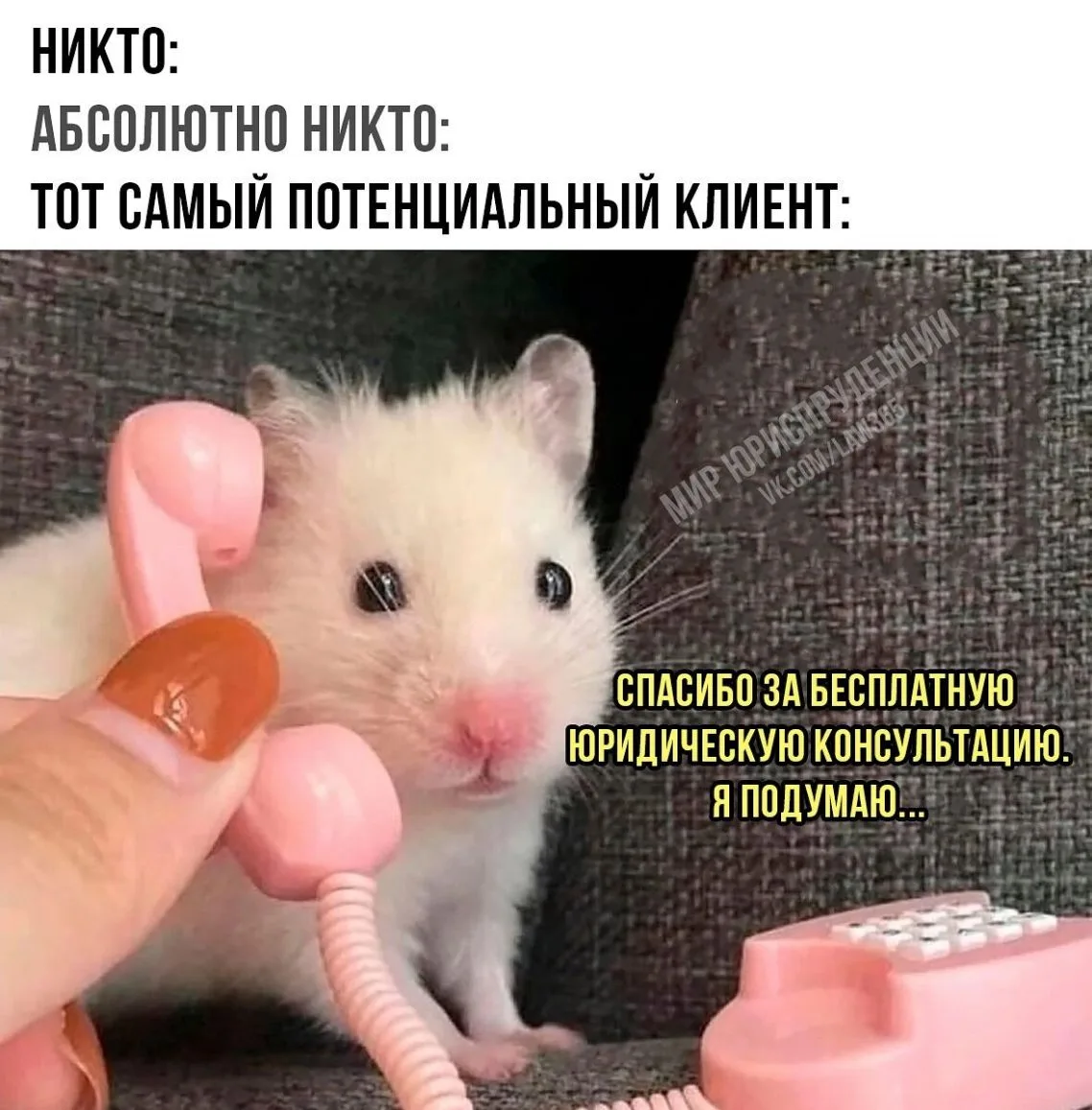 Всем хороших выходных ✌️