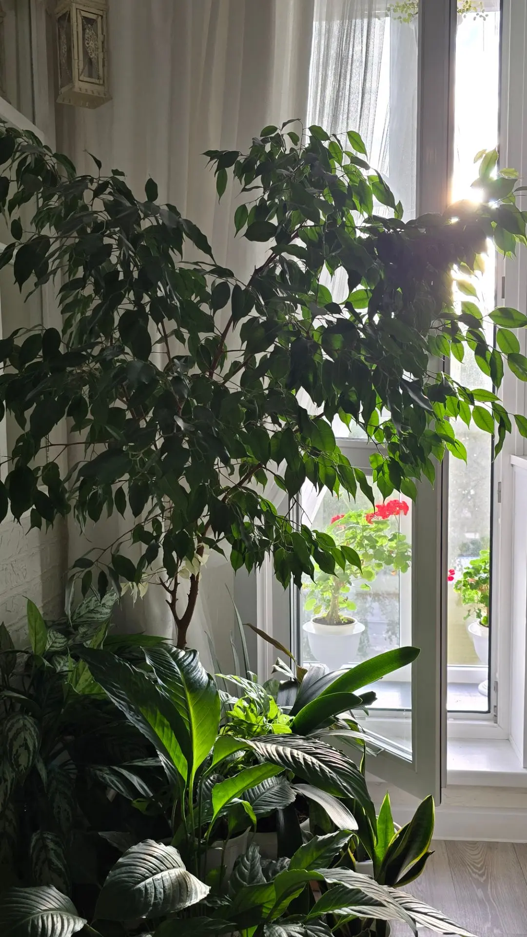 🤗🌿🌿🌿