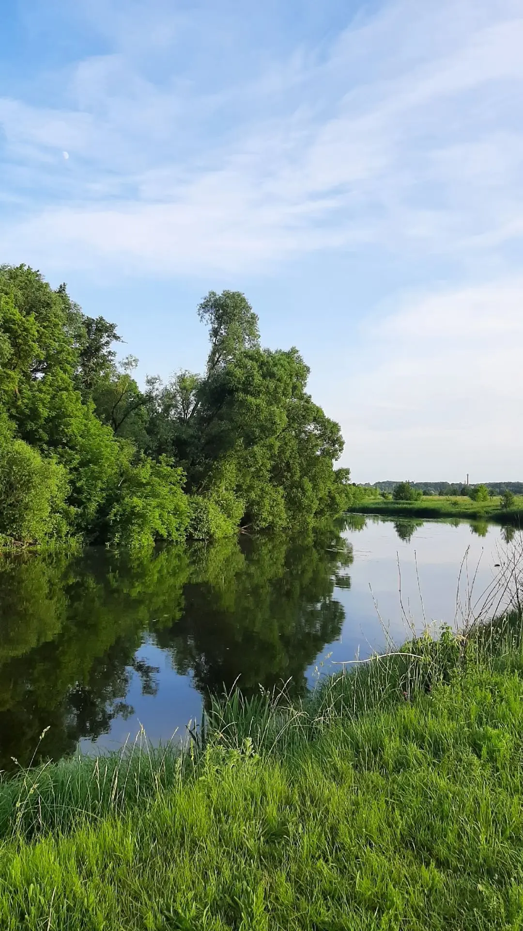 🌳Поход на природу - это прекрасная возможность отдохнуть, познать что-то новое, набраться впечатлен