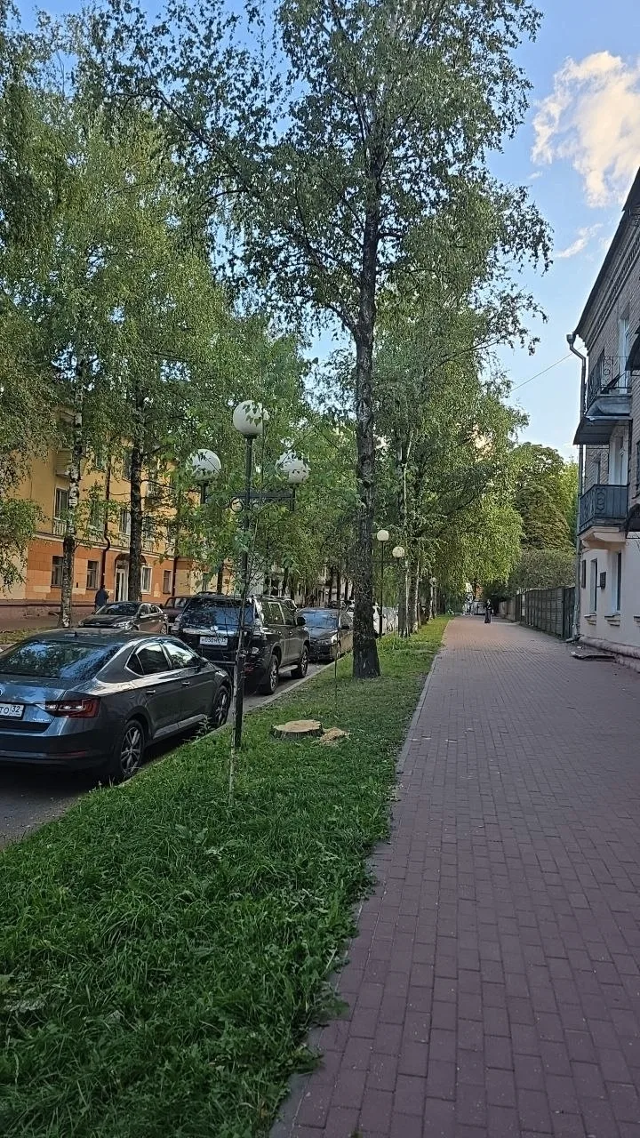 Мы в них верили, и они не подвели! Вместо стволопада, которого опасались наученные горь...
