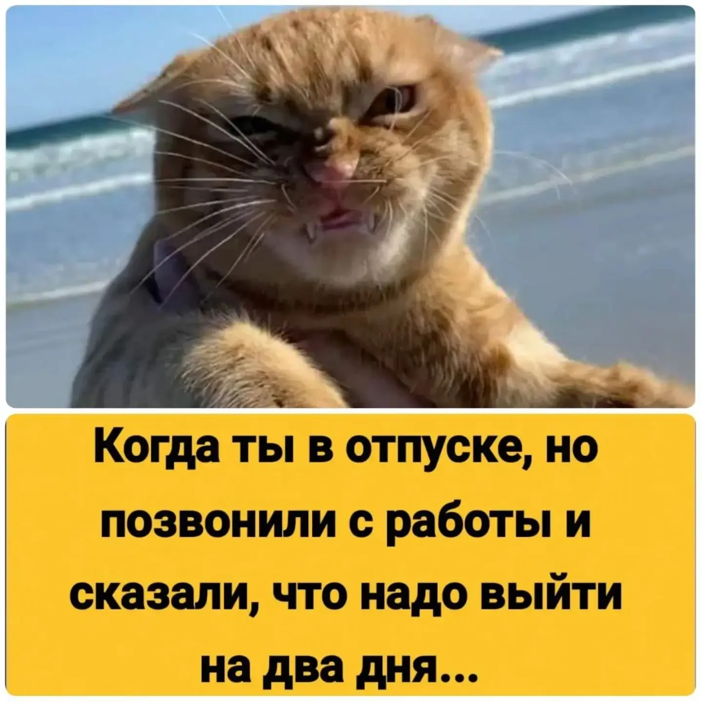 🤣🤣🤣

Женский юмор - Подписаться