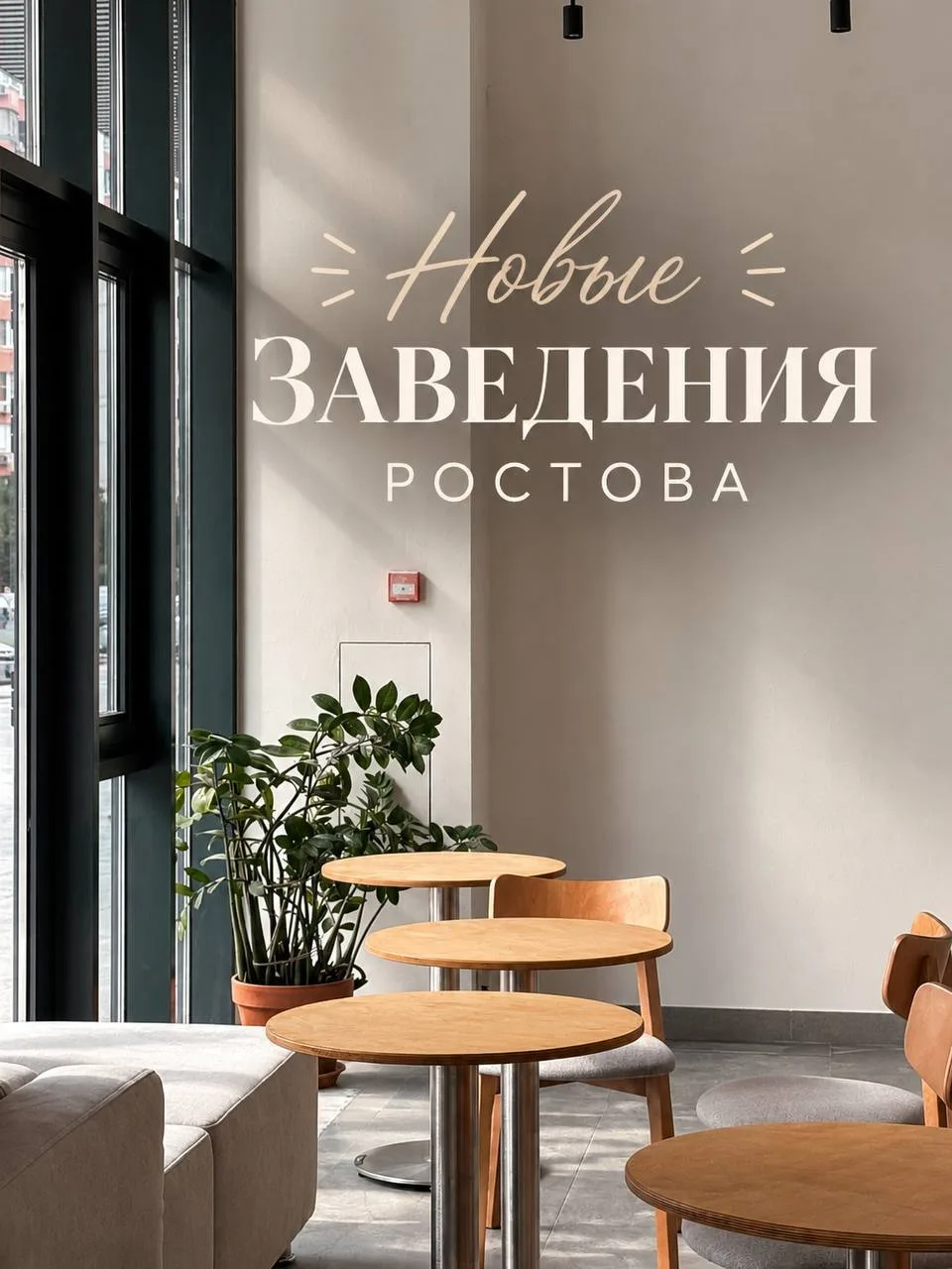 Новое в Ростове 💕