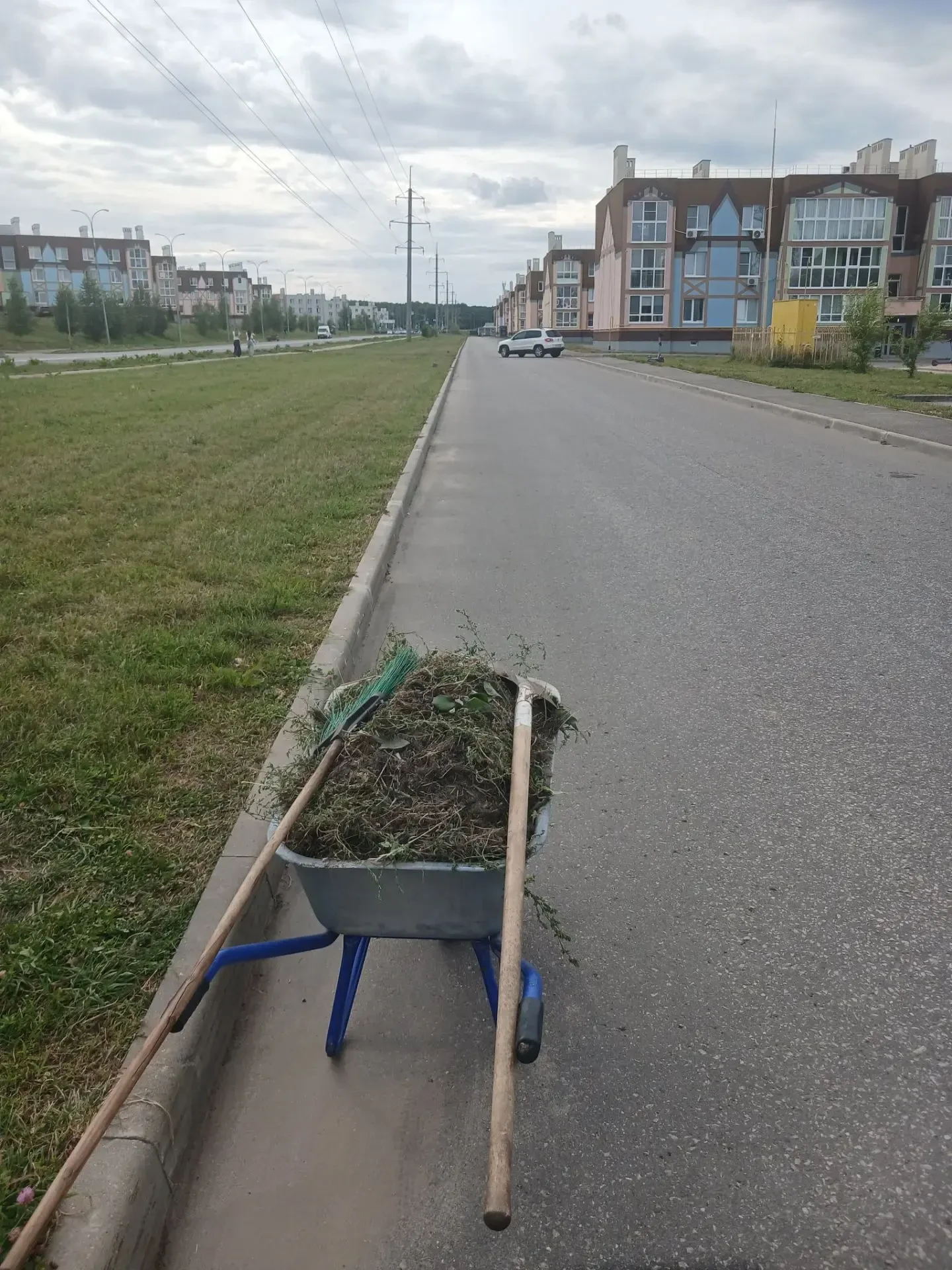 🌳 Микрорайон — в порядке!