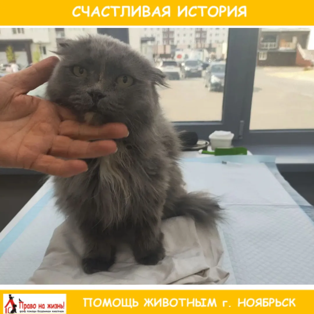 💕 ДВЕ СЧАСТЛИВЫЕ ИСТОРИИ 💕