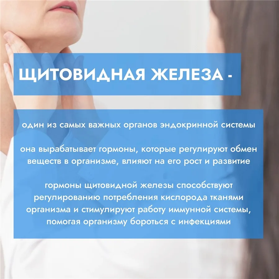 Щитовидная железа невелика ее обычно не превышает у женщин 18 кубических сантиметров,